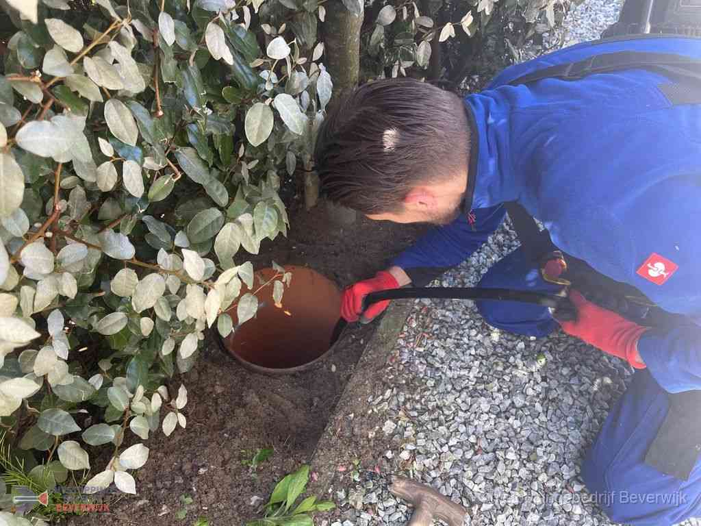 Rioolvliegjes Beverwijk Rioolvliegjes Beverwijk